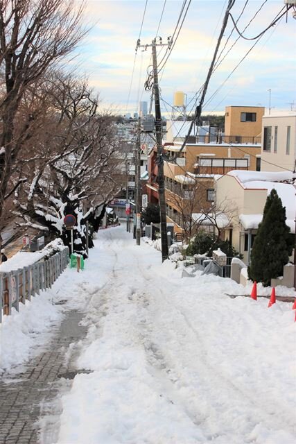 2014年2月9日雪の記念館坂から.jpg